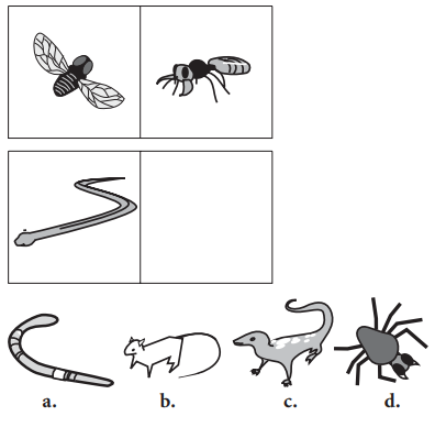 Question figure